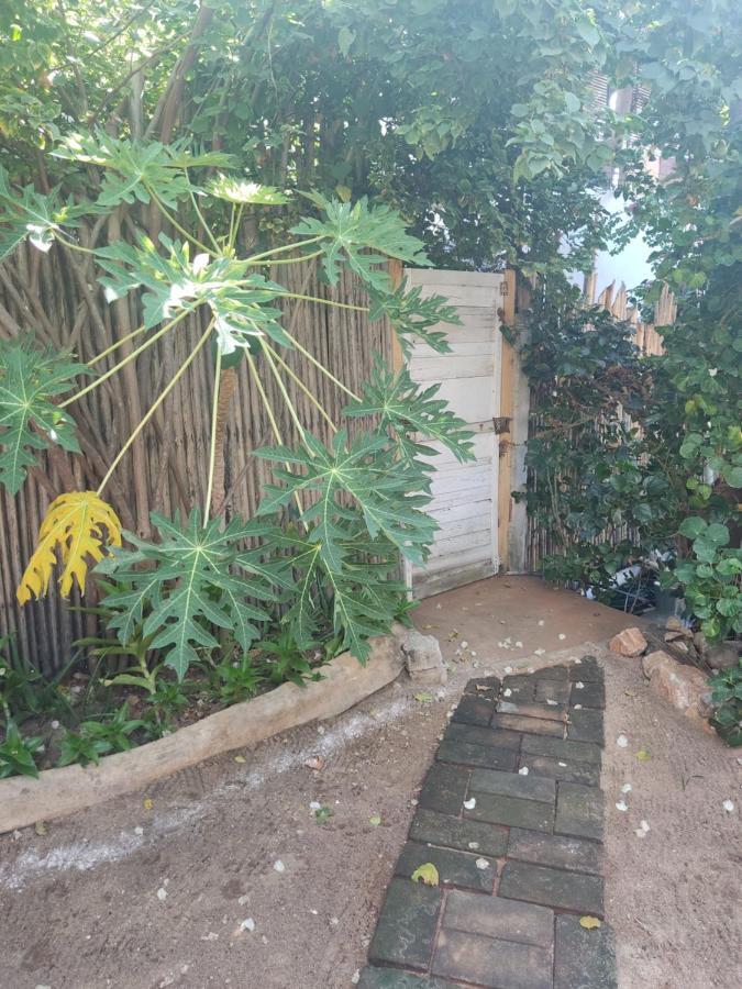 מלון סיפוליטה Casa Tonantzin מראה חיצוני תמונה